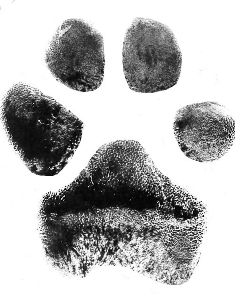 Cooper Watson Profile Photo