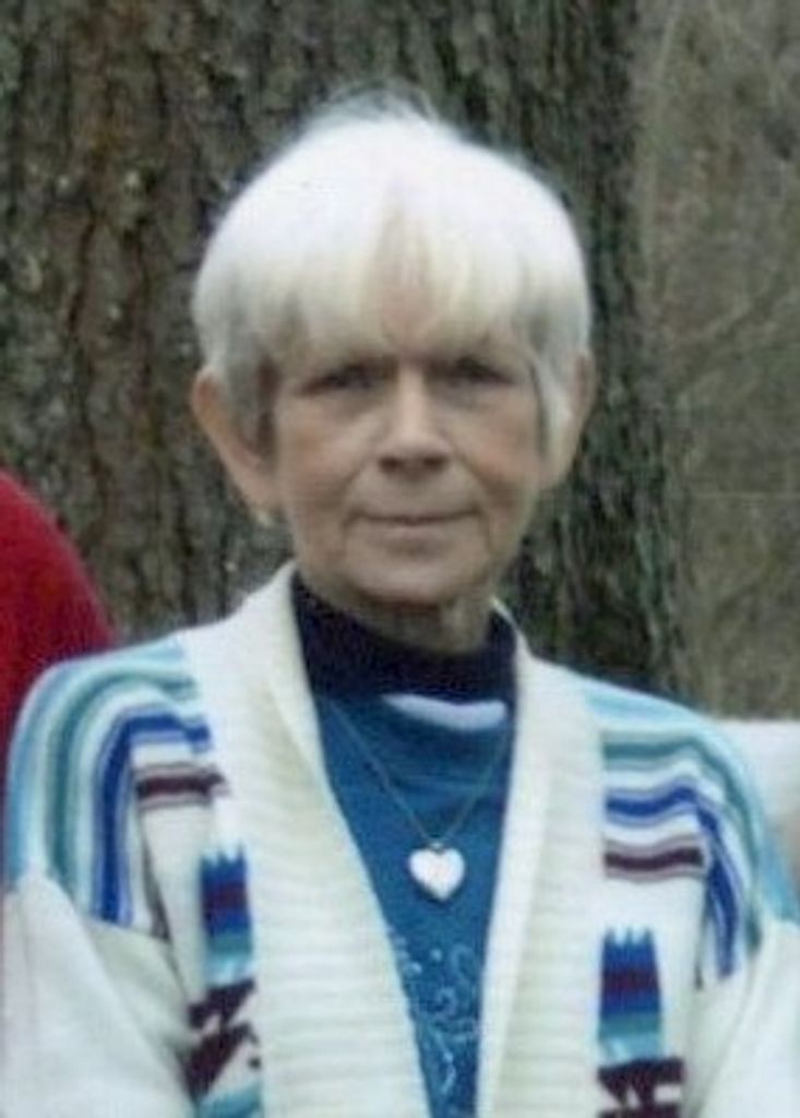 Vicki L. (Allen)  Swenney Profile Photo