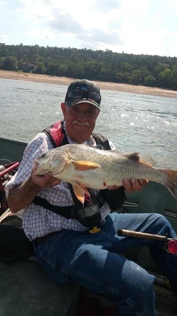 Calvin Clinton Bolin Profile Photo