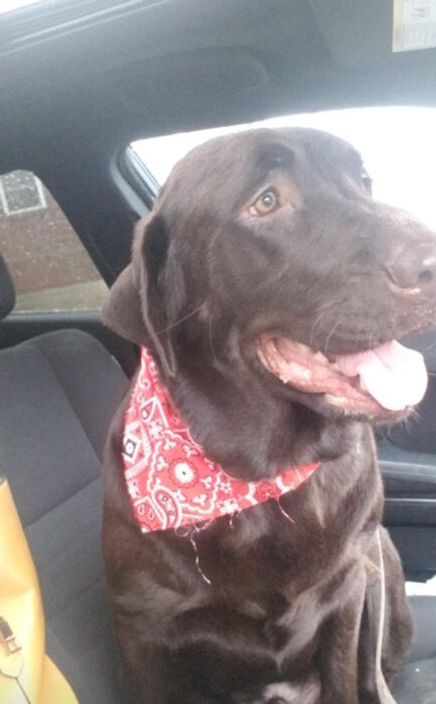 Maverick Taylor Profile Photo