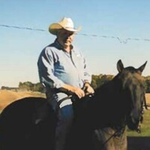 David Wood Profile Photo
