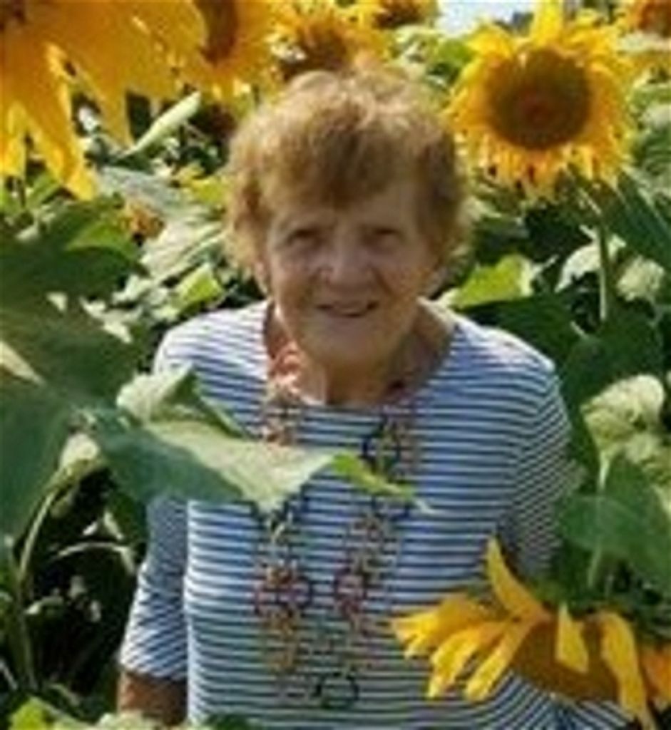 Jean Sweeney Profile Photo
