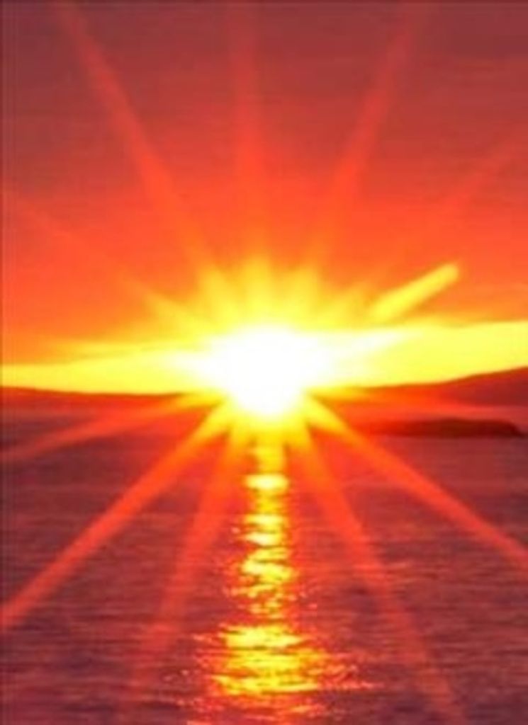 Donald Roman Profile Photo