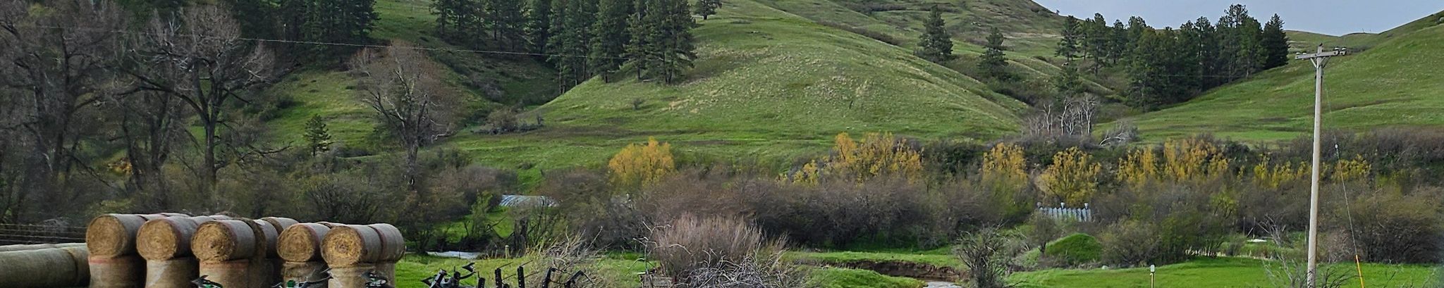 Cover photo for James Gray's Obituary