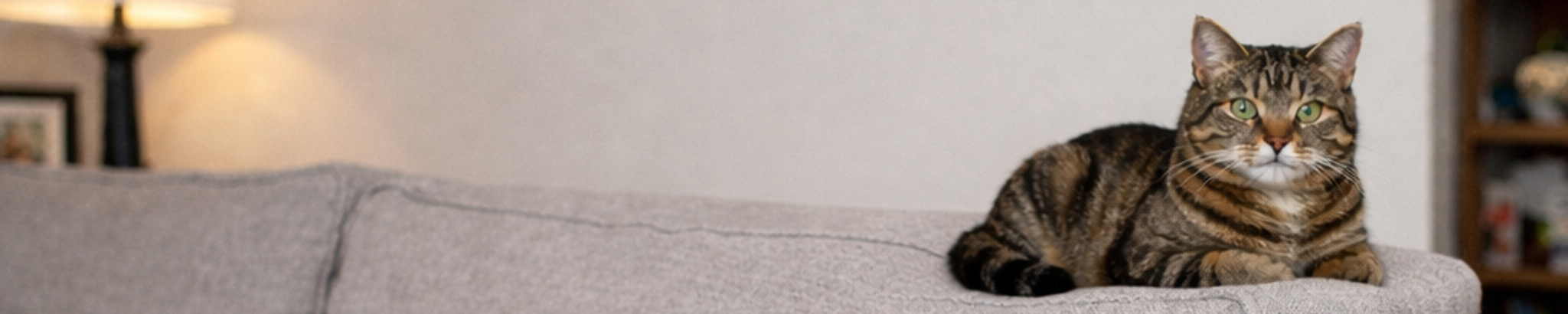 Cover for Shelley Buhl's Obituary