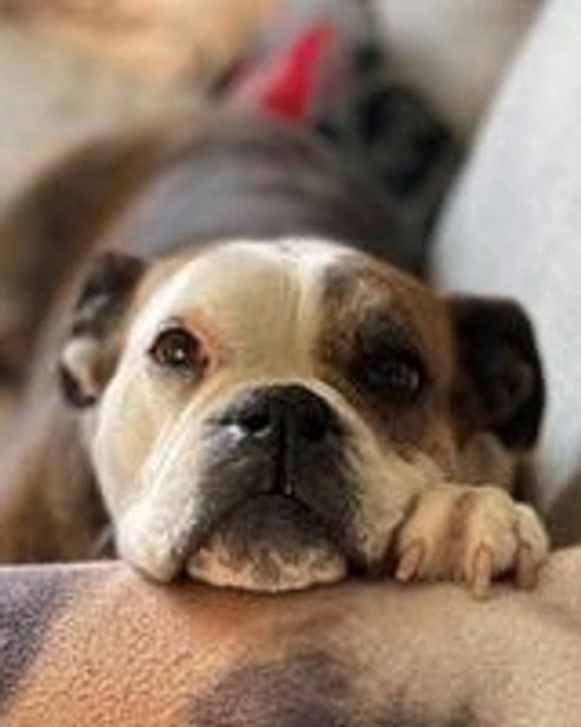 Rey Wentworth Profile Photo