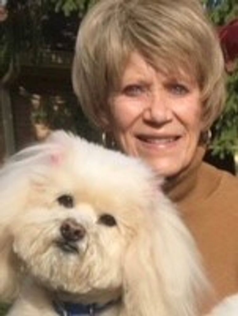 Judy Ann (Ake)  Goldstein