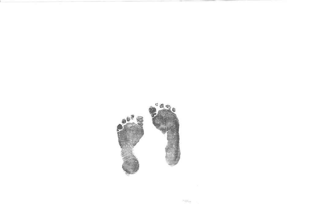 Willow Grace Collier