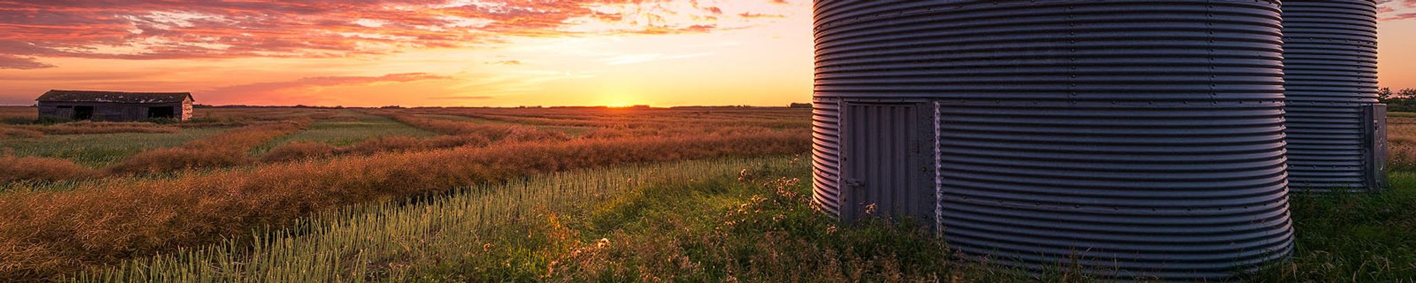 Cover for Lorraine Shumlanski's Obituary