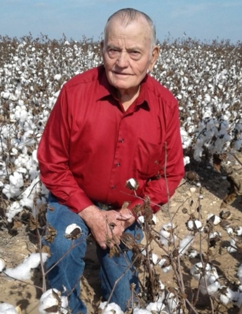 Alfonse H. Schwartz Profile Photo