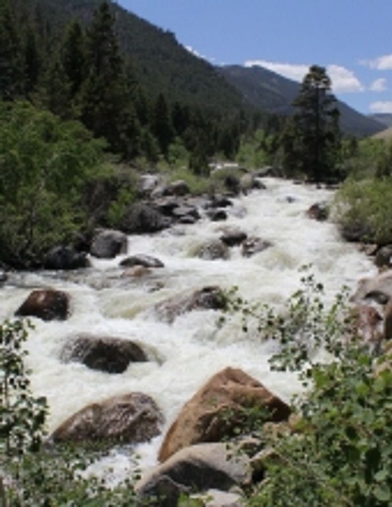 Helen Alice Yahr Profile Photo