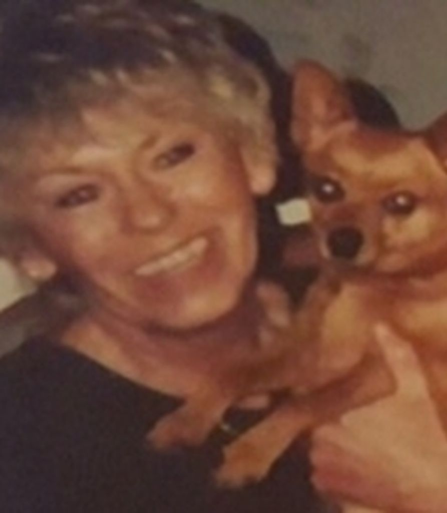 Pat Taylor Profile Photo