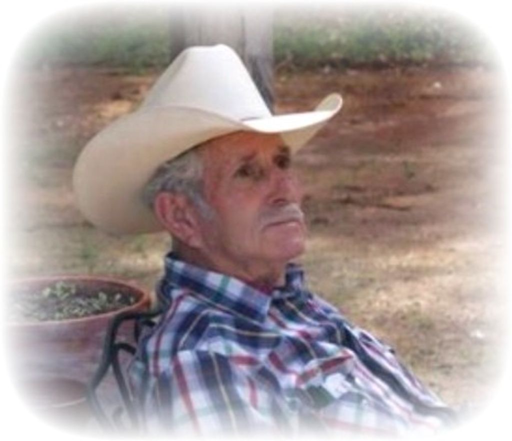 William Talmadge Hollaran Profile Photo