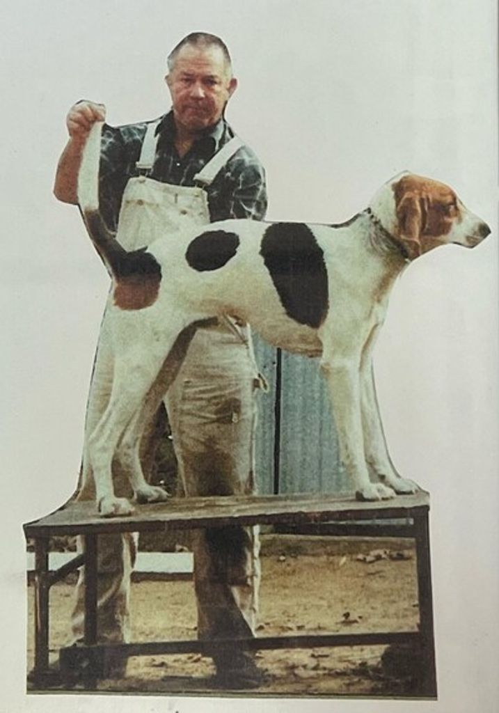 Earl Mitchell Jones Profile Photo