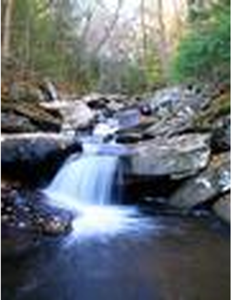 Michael Allen Maniscalco