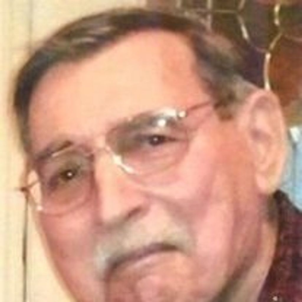 Peter Bertin