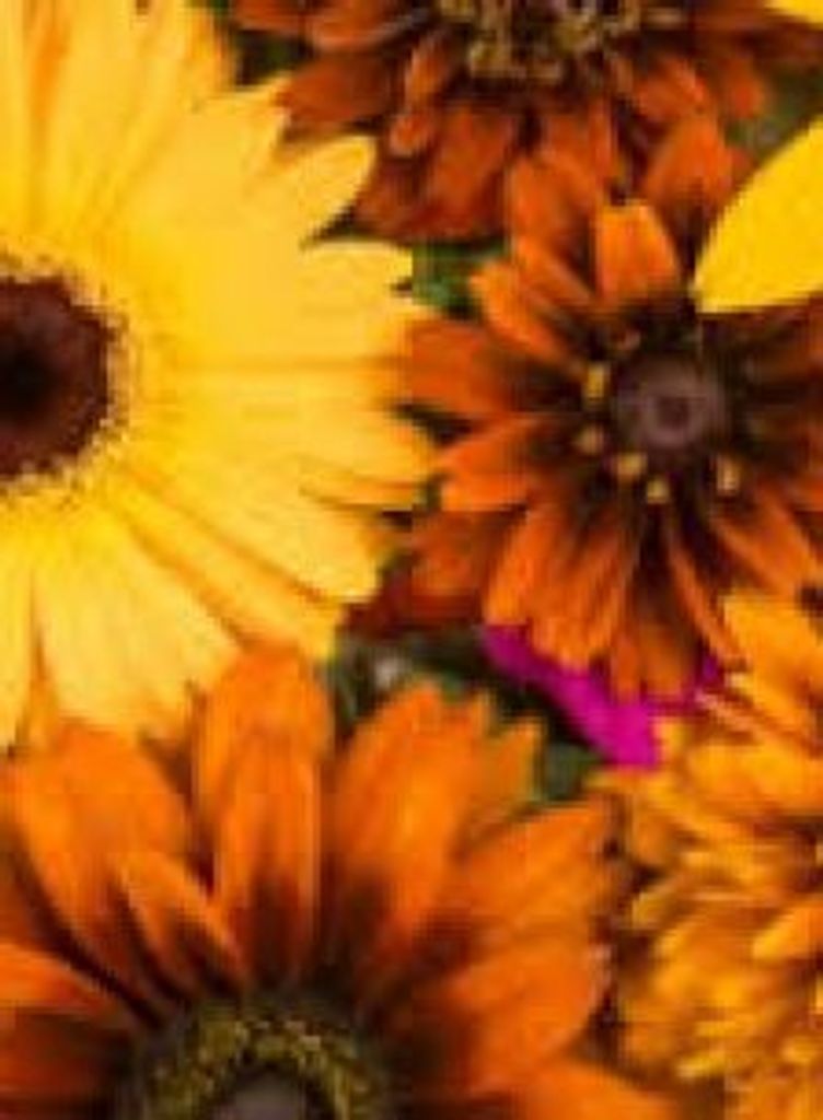 Betty Jane Torbert Bowyer Profile Photo