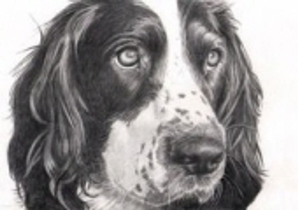 Woogie Rudholm Profile Photo