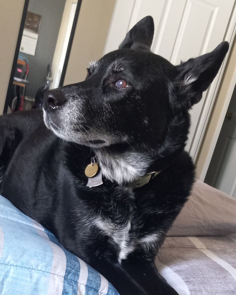 Kaya Opel Profile Photo