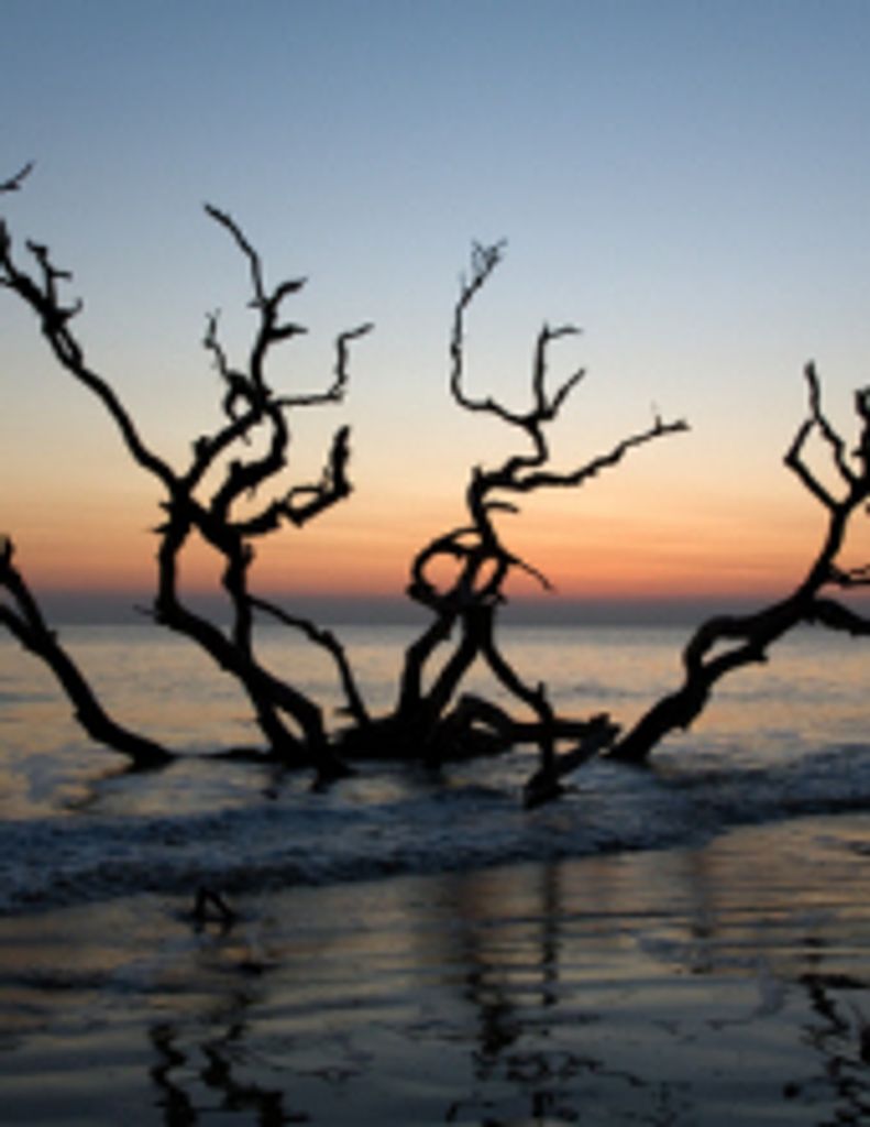 William Edward Parker