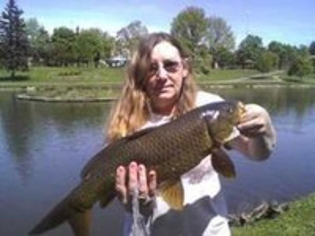 Shirley Hower