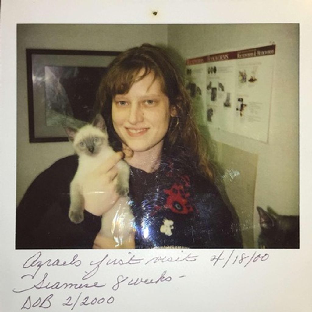 Konni K. Polo Profile Photo