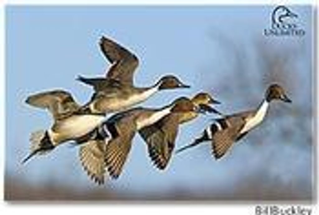 Lawrence "Larry" Francis Webb Profile Photo