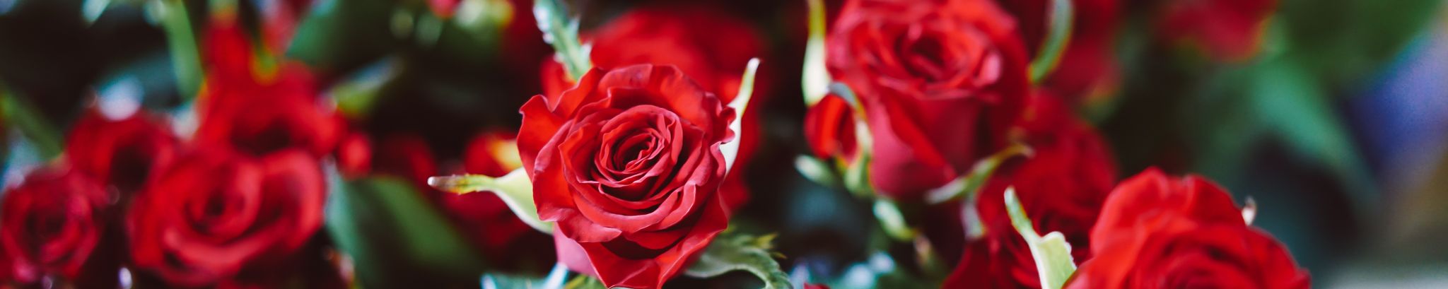 Cover photo for Margaret Marie Wozniak's Obituary