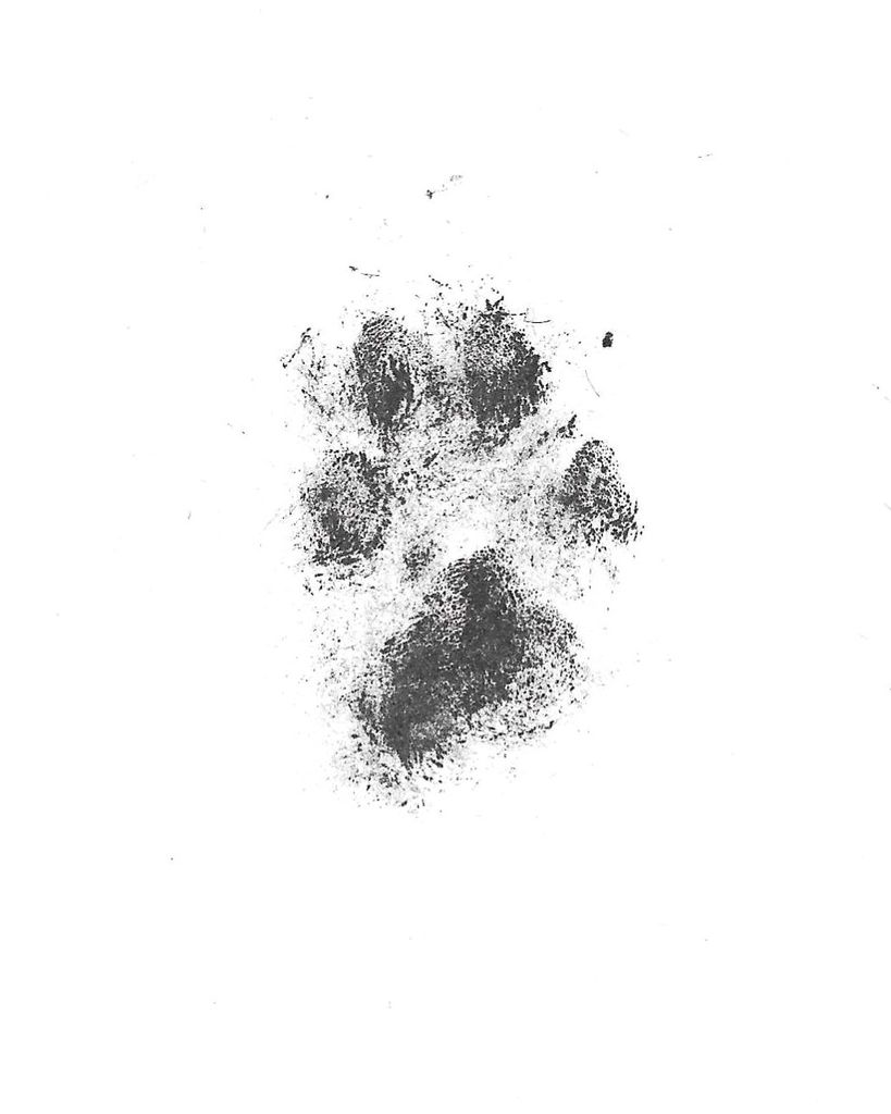 Benson Holt Profile Photo