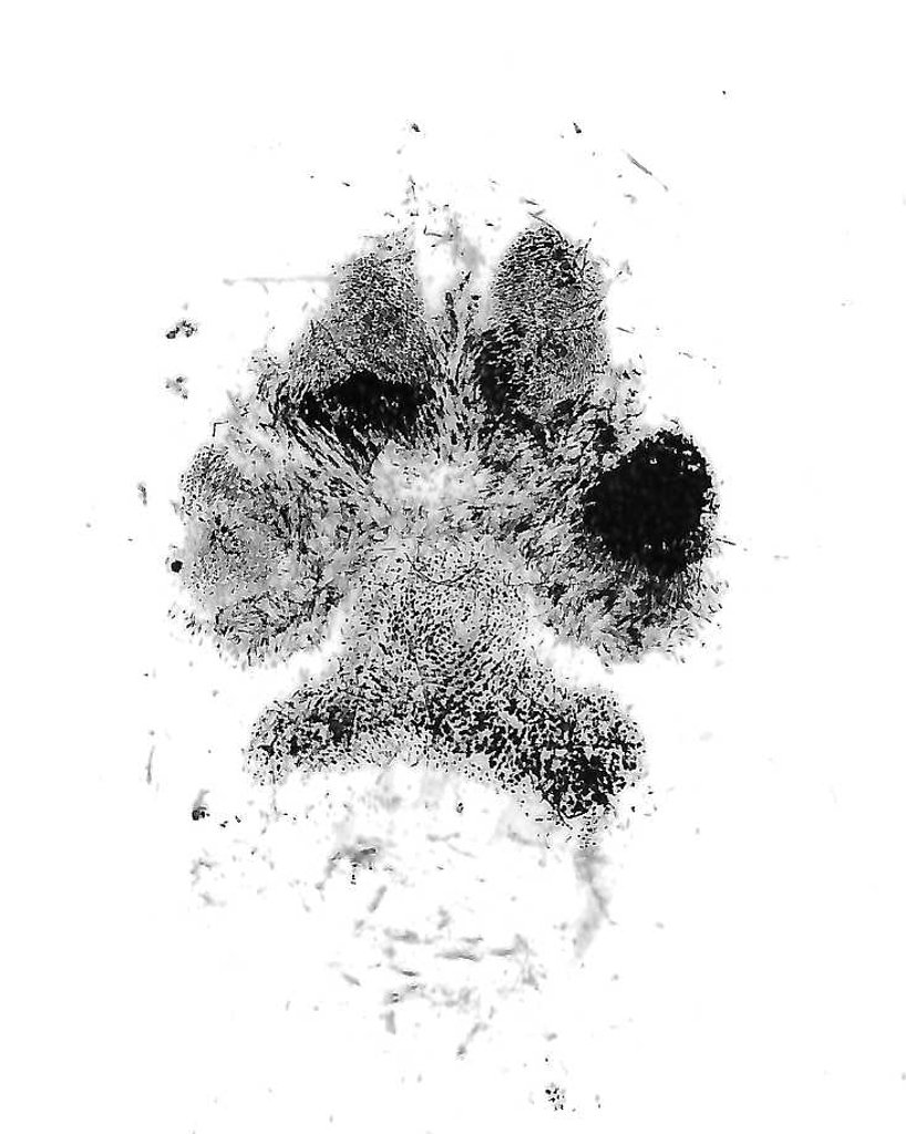 Cora Jean Henderson Profile Photo