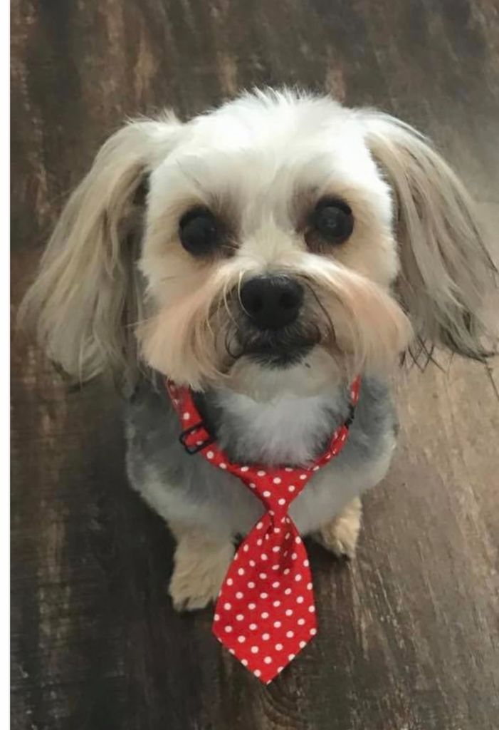 Hank Profile Photo