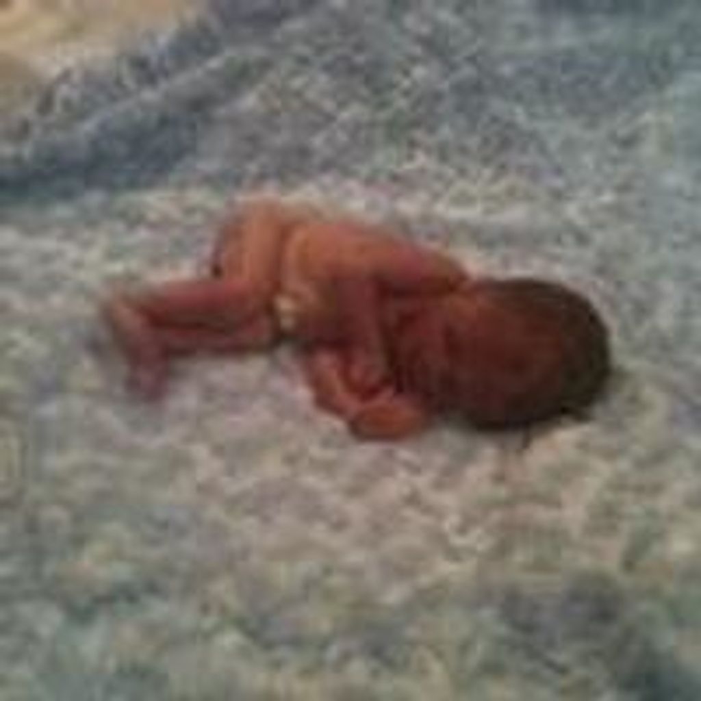 Carter Allen Cassel