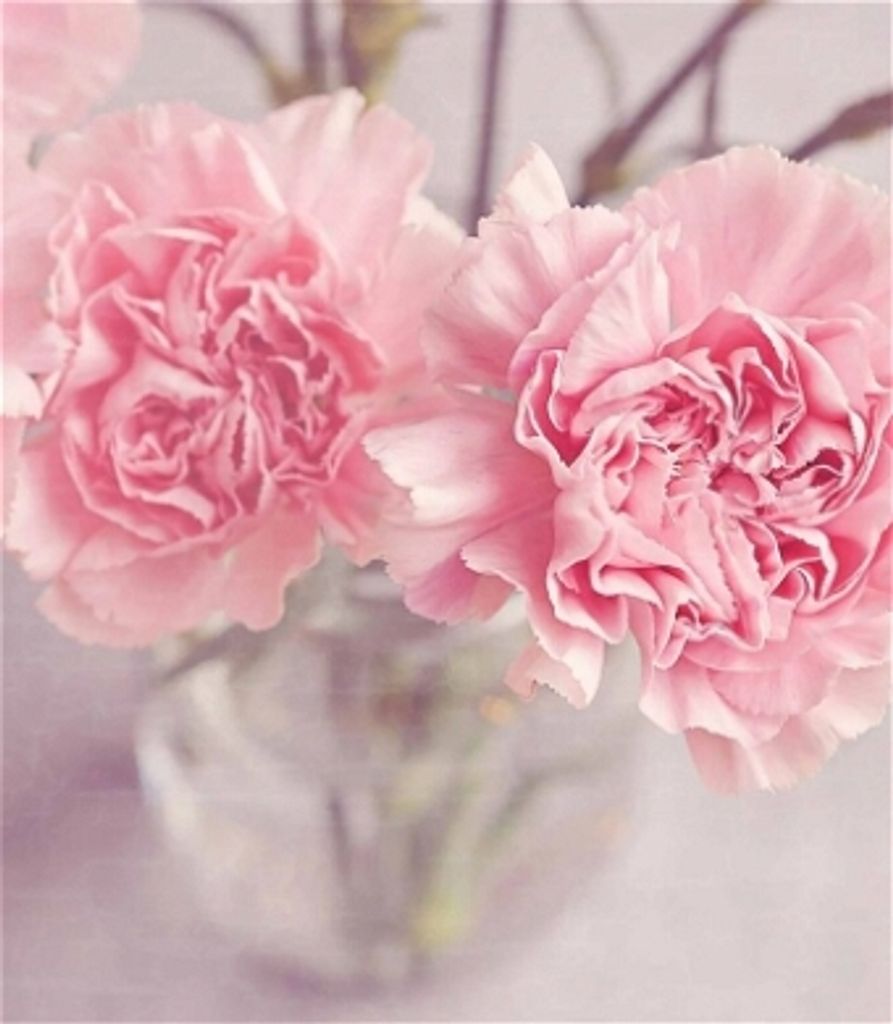 Joyce Lee Buerger (Bell)