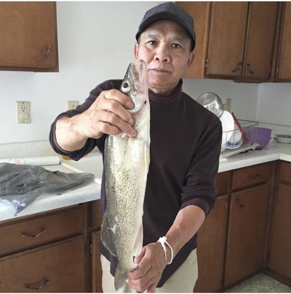 Vang Sihavong Profile Photo