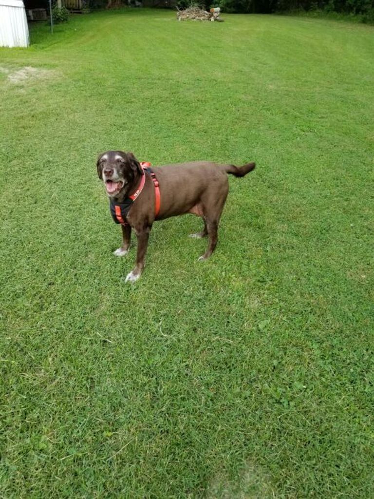 Paige Turner Profile Photo