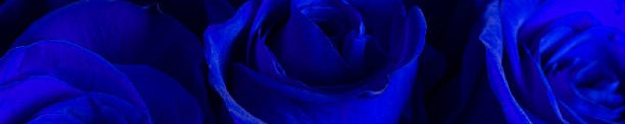 Cover for D'Ondria Simon's Obituary