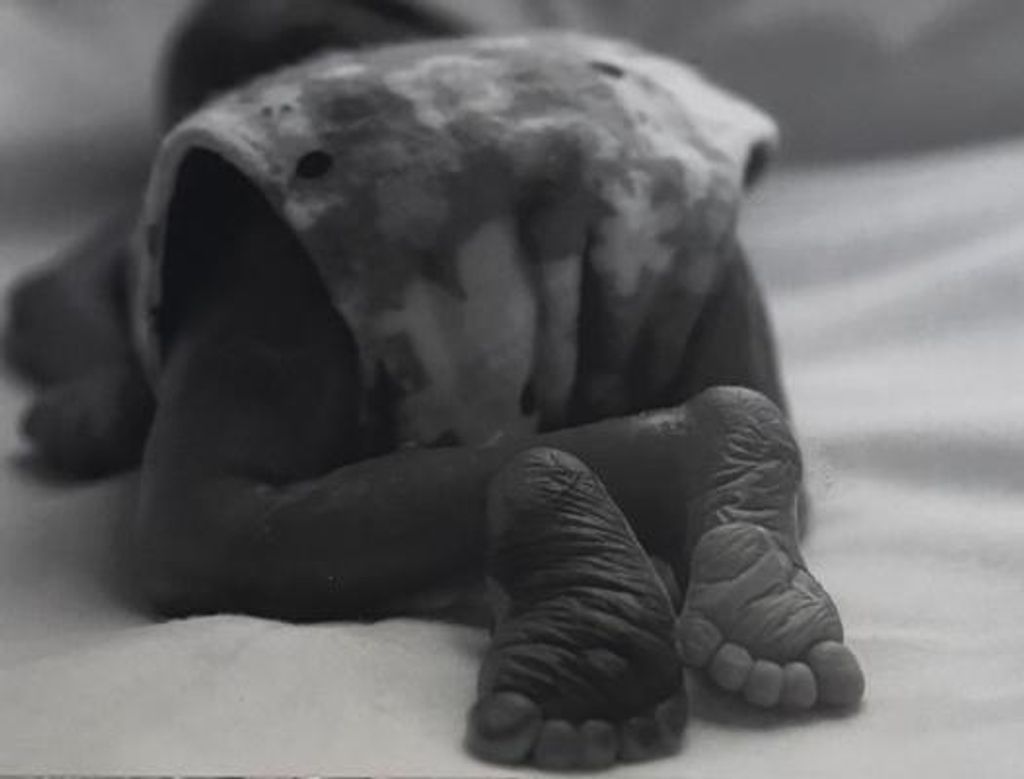 Damian Garcia Figueroa Profile Photo