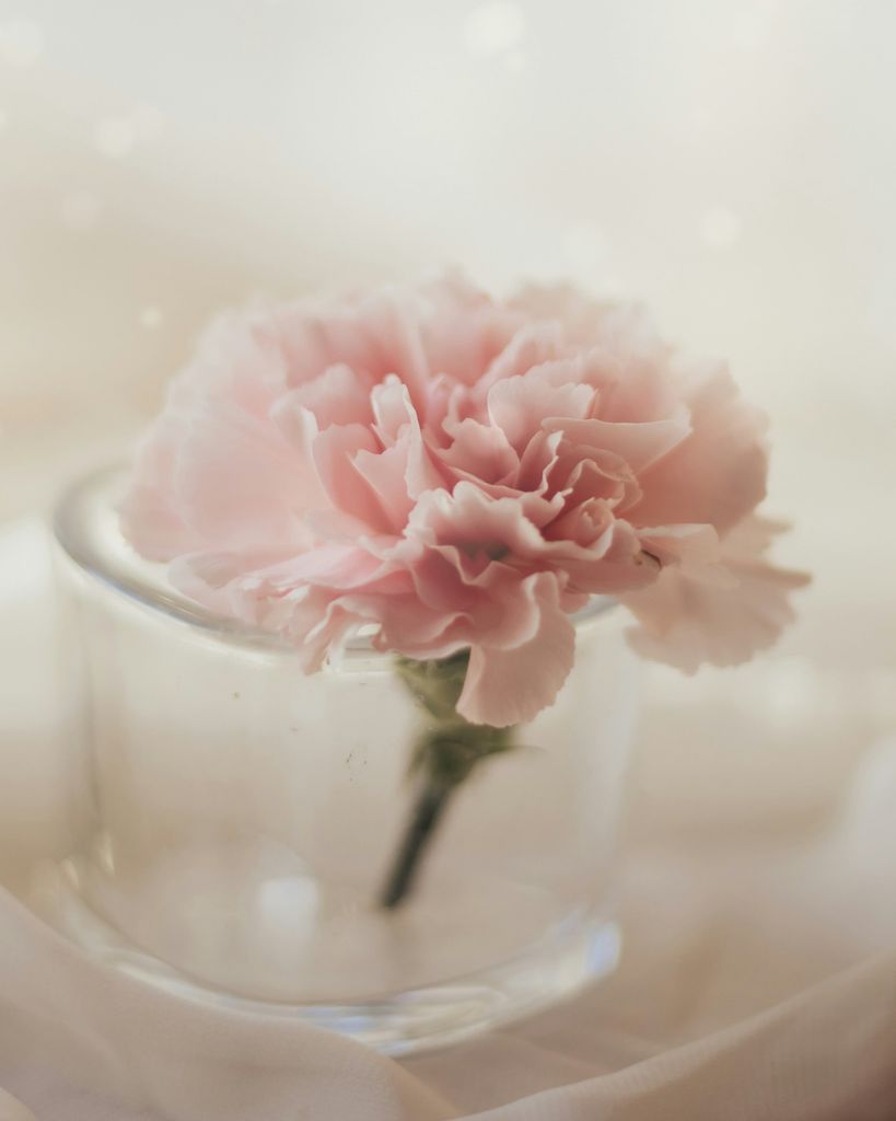 Ramona Jean Jones Profile Photo