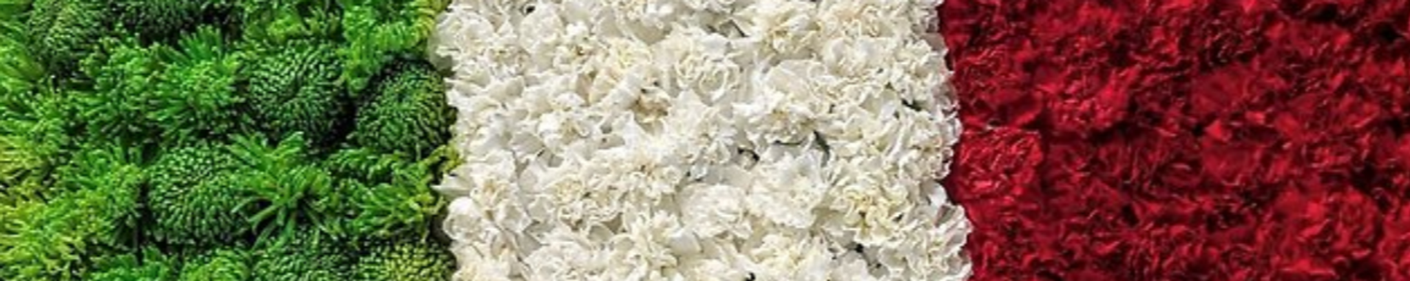 Cover for Louis Michael Badalamenti's Obituary