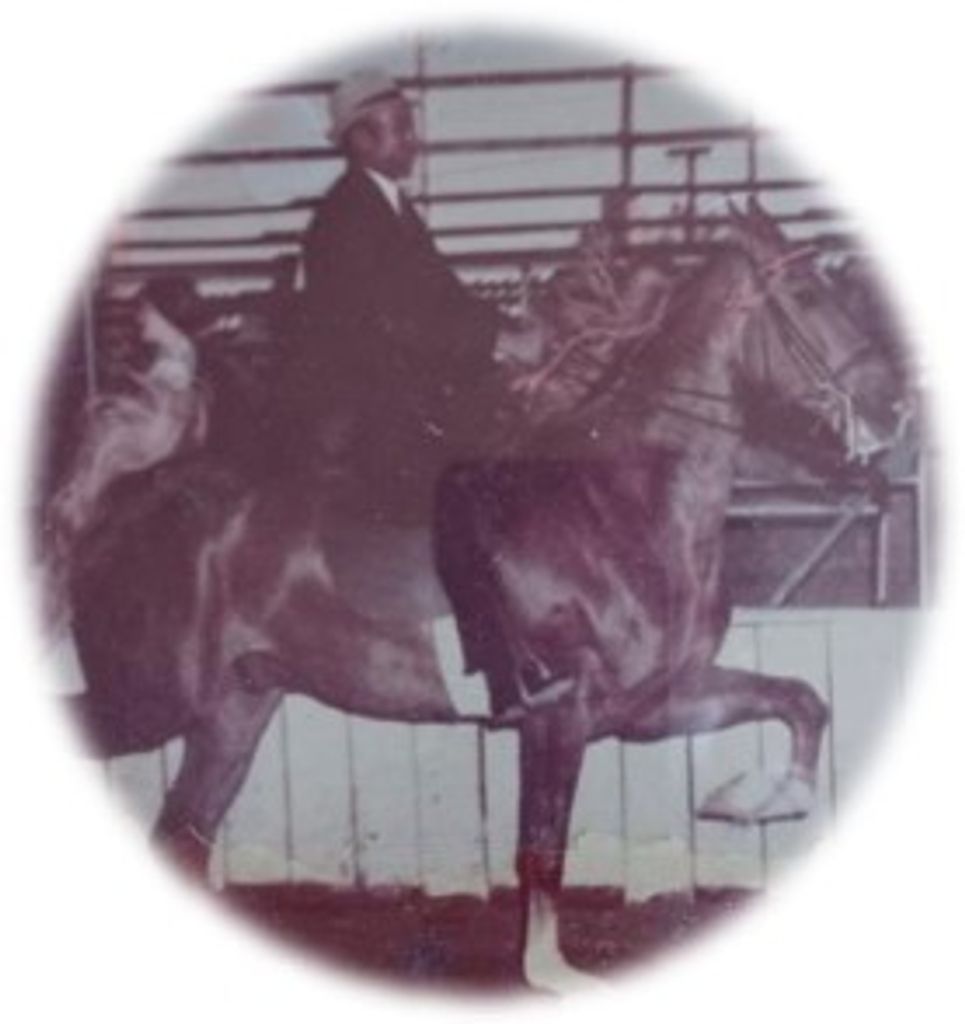 Calvin Paul Chapman