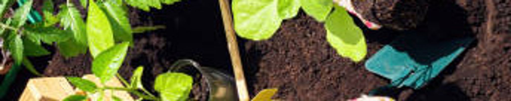 Cover photo for Marvin Eugene Toms's Obituary