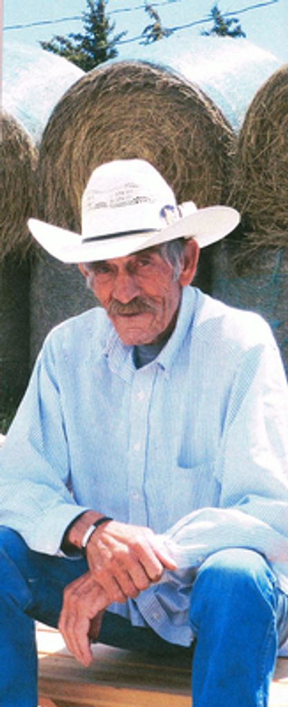 Arliss Schwartz