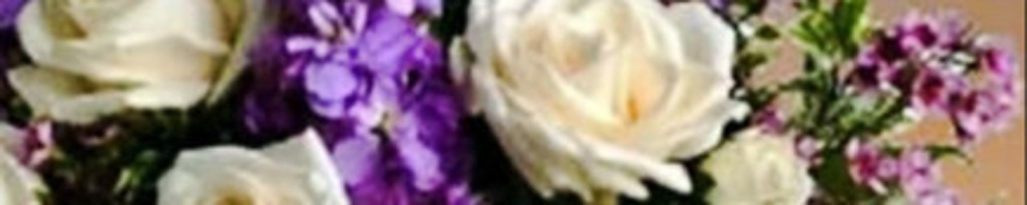 Cover photo for Helen Mahoney's Obituary