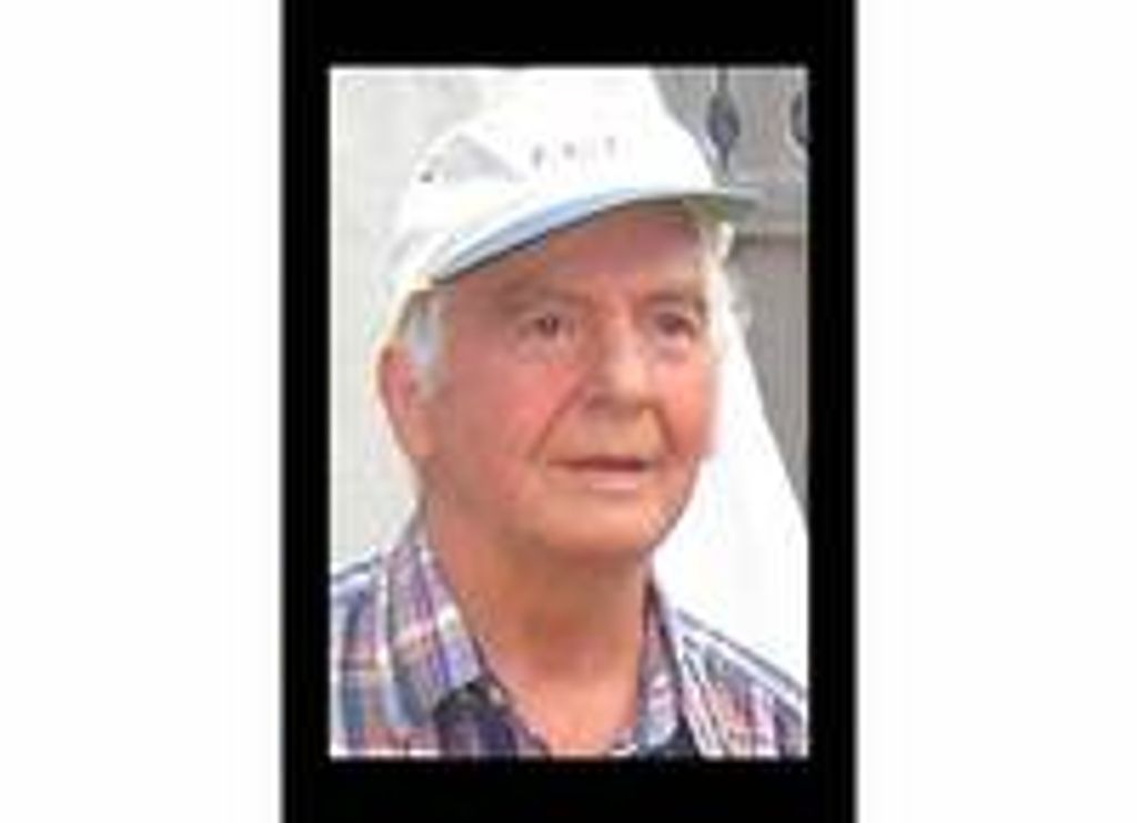Ralph J Dott Sr