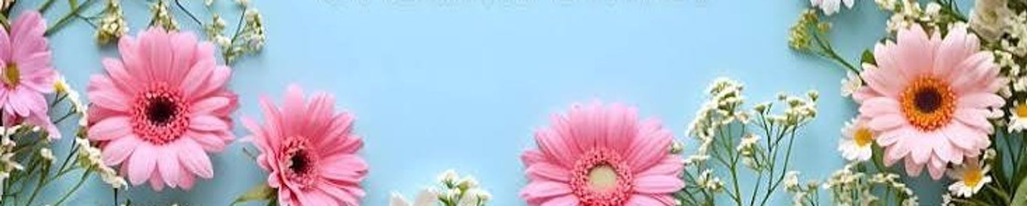 Cover for Tammy Lynn Harvey's Obituary