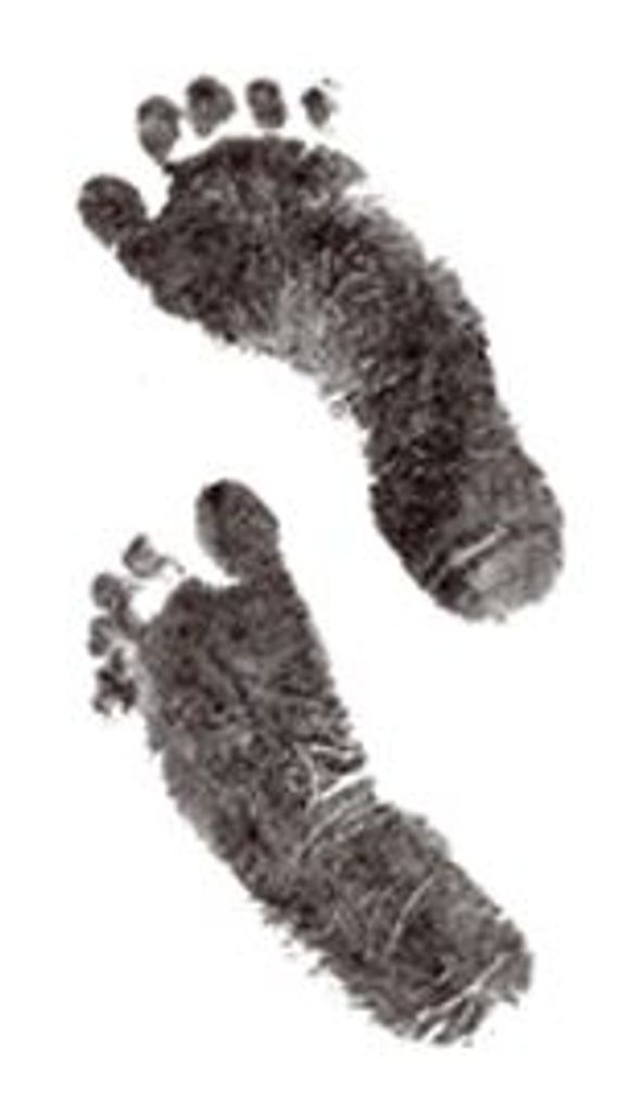Michael David Allen