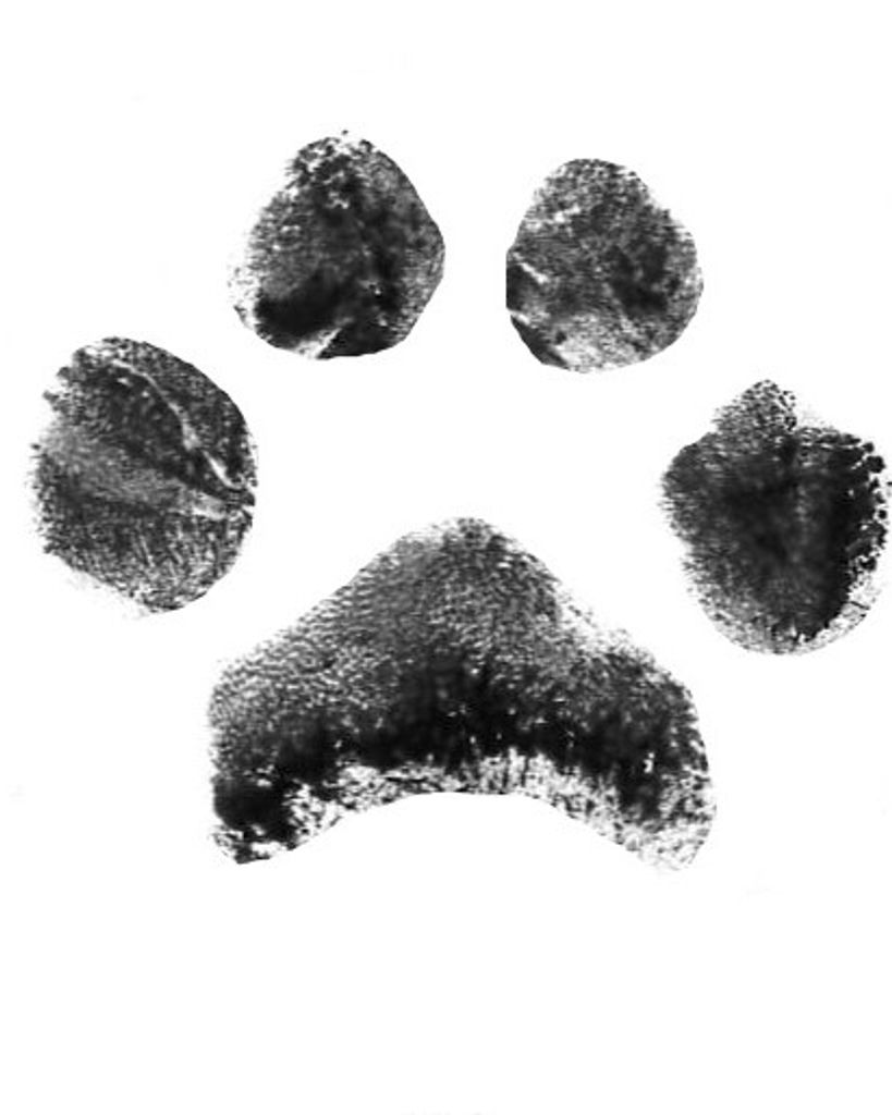 Dotty McCreary Profile Photo