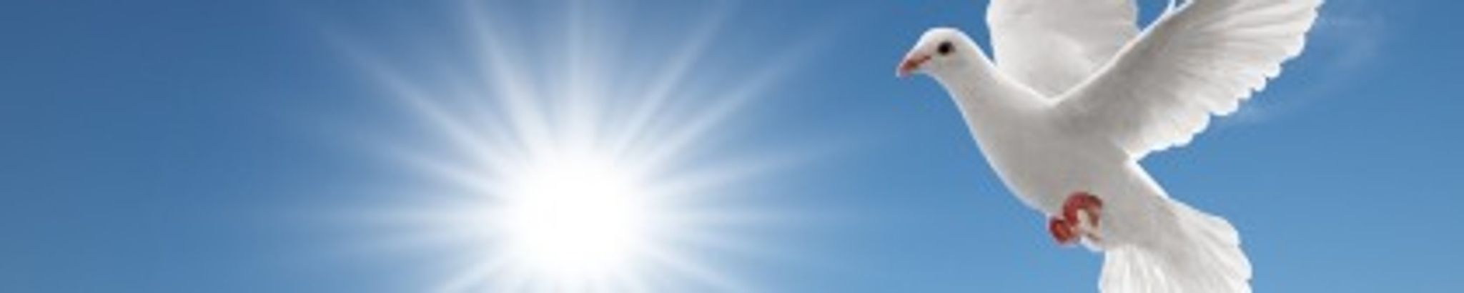 Cover for Jackie Glenn Gregory Sr.'s Obituary