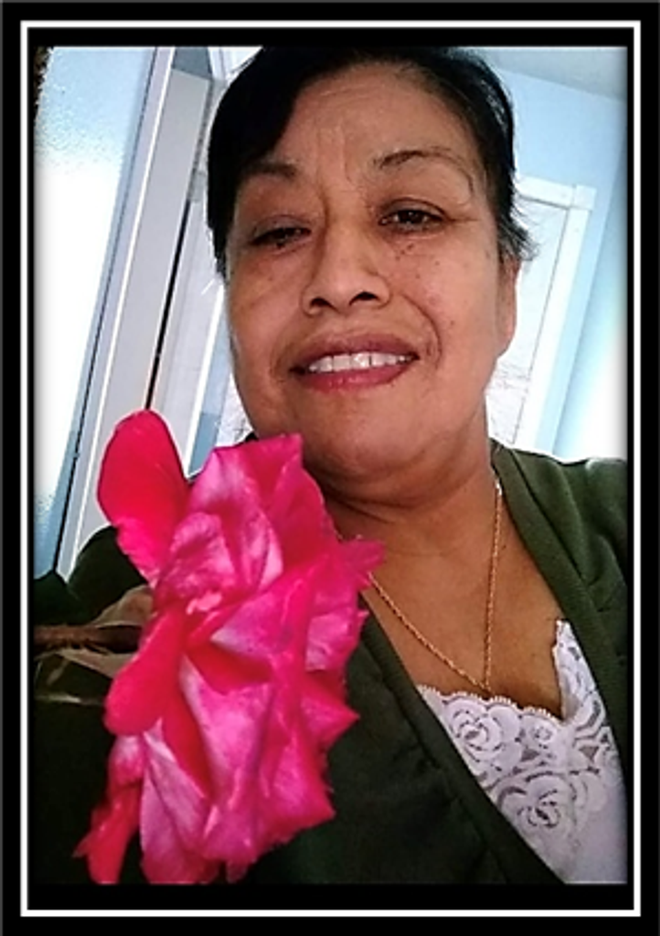 Elena Bernabe 11/07/1959 - 08/17/2024 Profile Photo