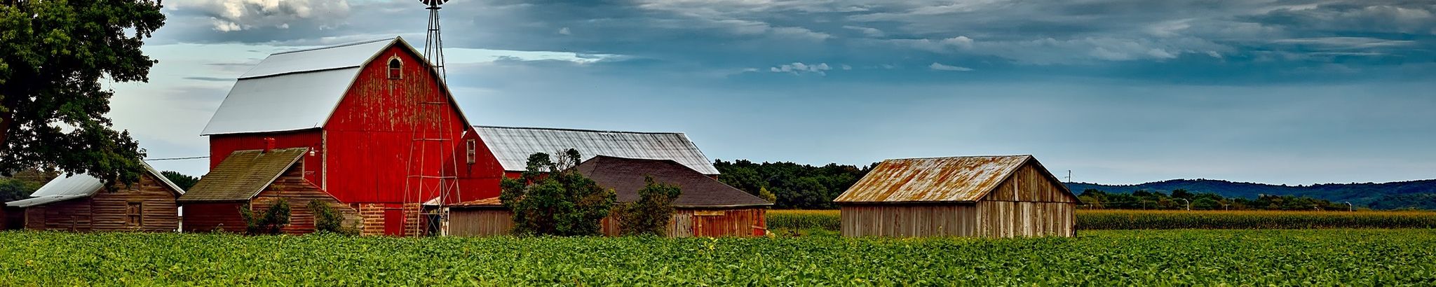 Cover for James "Jim" Ewald Kroening's Obituary